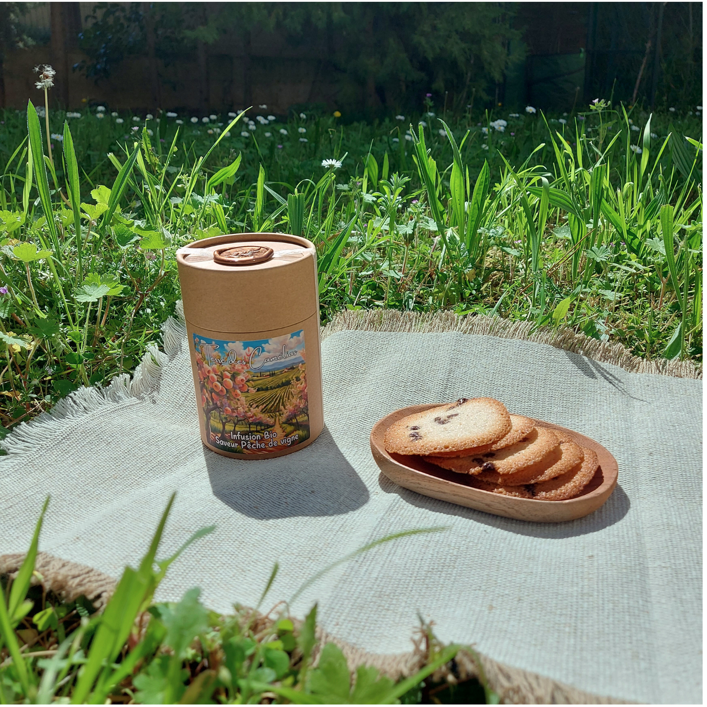Infusion Bio Pêche de vigne